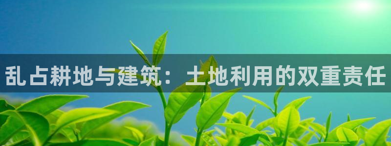 78mapp威九国际媒体央视：乱占耕地与建筑：土地利用的双重责任
