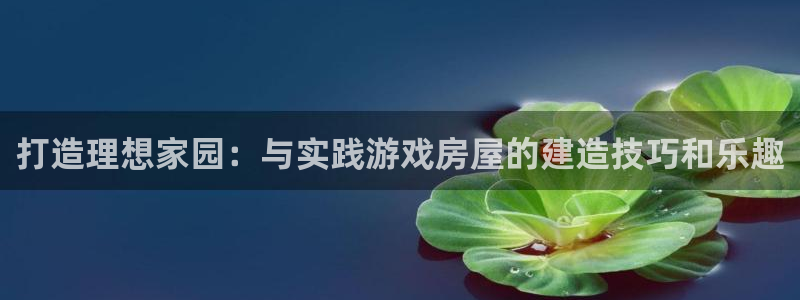 威九国际X8：打造理想家园：与实践游戏房屋的建造技巧和乐趣