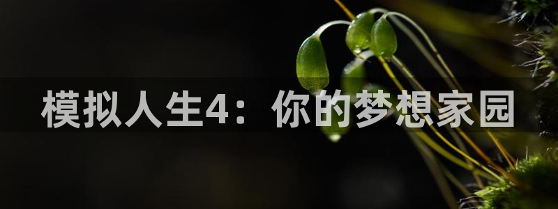 威九国际66m66成长模式免费：模拟人生4：你的梦想家园
