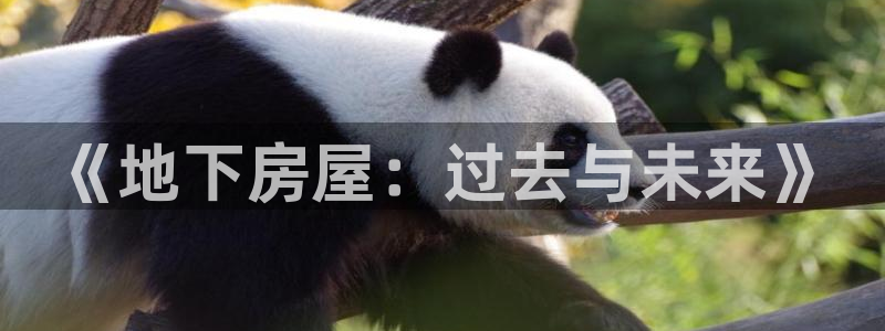 威九国际黑钱：《地下房屋：过去与未来》