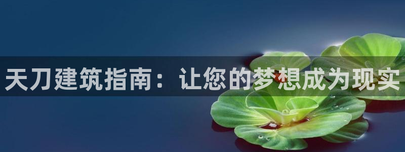 威九国际网站进入客服中心怎么退出：天刀建筑指南：让您的梦想成为现实