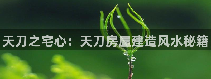 威九国际网站进入产品中心：天刀之宅心：天刀房屋建造风水秘籍