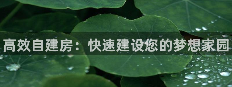 威九国际78mb42：高效自建房：快速建设您的梦想家园