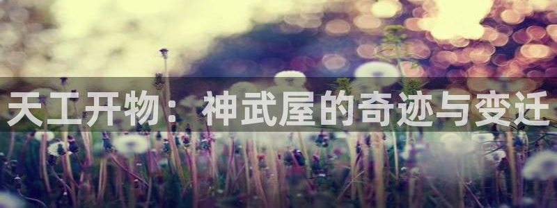 威九国际理论片最经典十首歌曲：天工开物：神武屋的奇迹与变迁