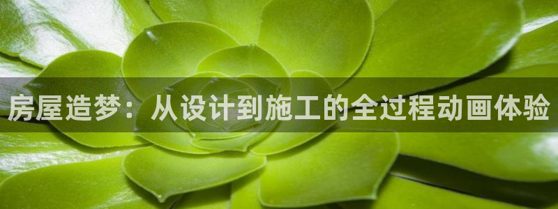 威九国际合作伙伴有哪些：房屋造梦：从设计到施工的全过程动画体验