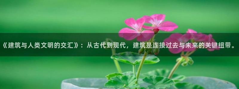 威九国际软件：《建筑与人类文明的交汇》：从古代到现代，建筑是连接过去与未来的关键