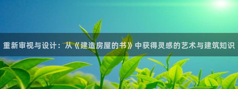 威九国际网站在哪里：重新审视与设计：从《建造房屋的书》中获得灵感的艺术与建筑知识