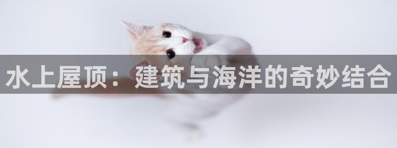 66m威九国际精选：水上屋顶：建筑与海洋的奇妙结合