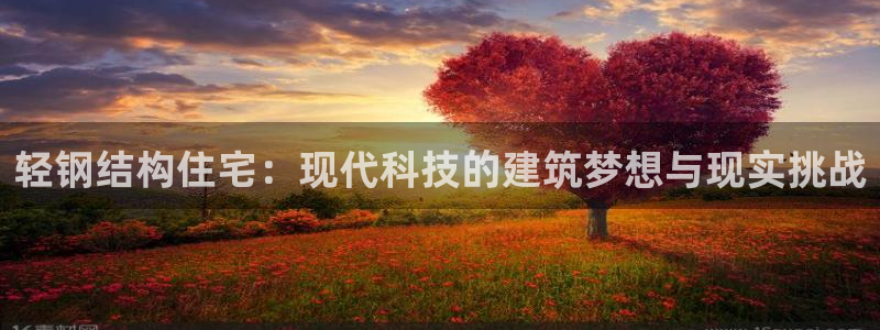 78mppt威九国际：轻钢结构住宅：现代科技的建筑梦想与现实挑战