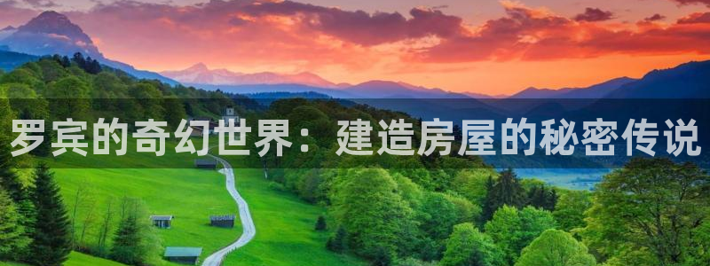 威九国际78app：罗宾的奇幻世界：建造房屋的秘密传说